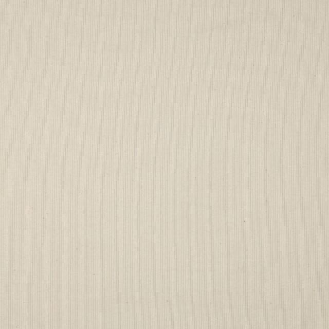 Stoff Rib Jersey natural - 2