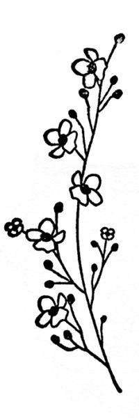 Stempel Blumenzweig - 1