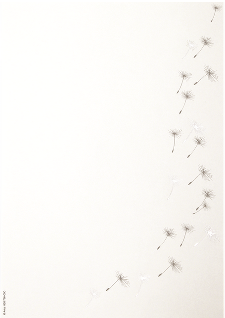 Designpapier: Pusteblume weiss
