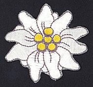 WELTI BÜGEL-MOTIV APPLIKATION EDELWEISS 6 X 6 cm