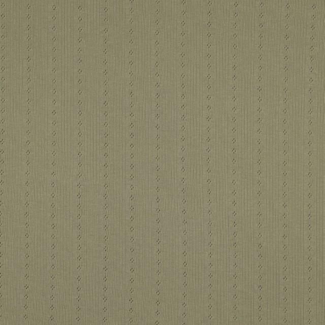 Stoff Jersey Pointoille sage