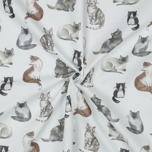 Stoff Baumwolle Popeline, Cats - 1