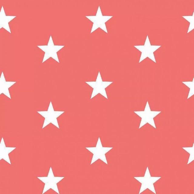 Stoff Baumwolle, Stars Coral