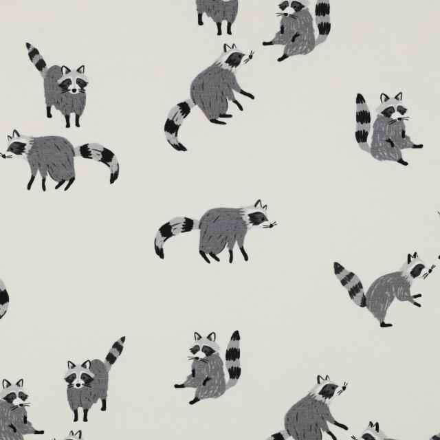 Stoff Jersey digital Raccoon