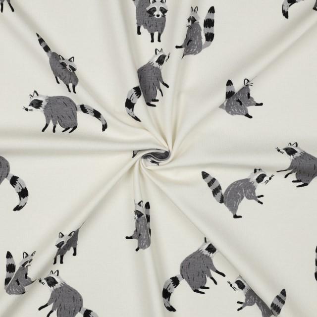 Stoff Jersey digital Raccoon - 1