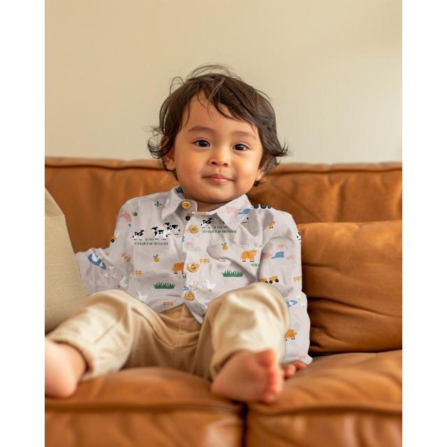 Stoff Poplin, Farm animals - 2