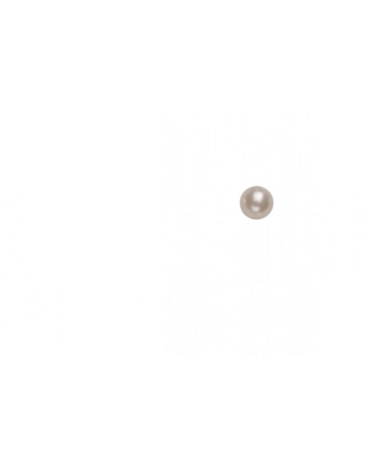 P&D Perlen halbr. 5mm perlmut