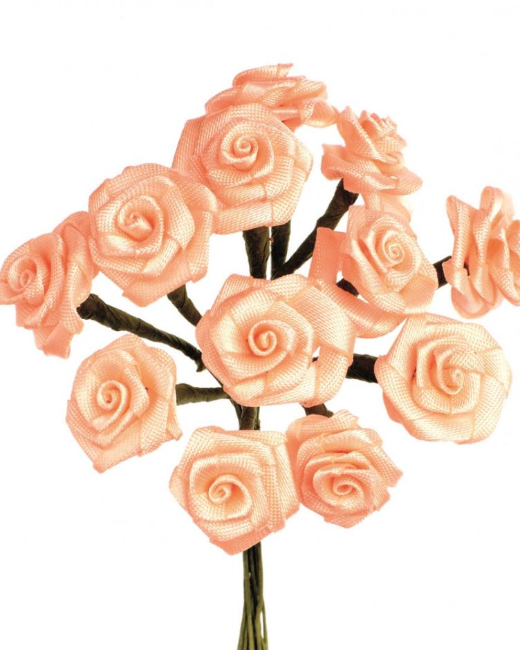 Diorröschen coral, 12 Blüten