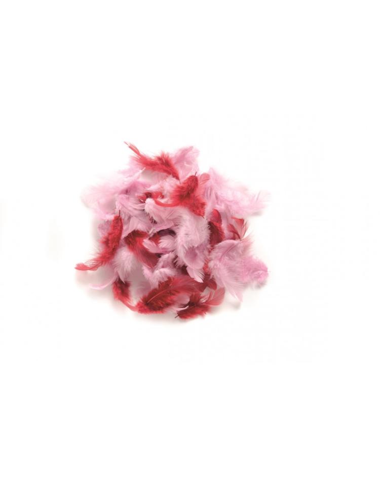 Dec-Federn Rosa-sortiert, ca 2g