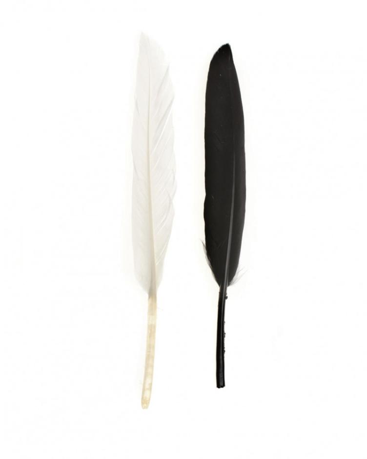 Indianerfeder 13cm ca.15 Stück schwarz/weiss