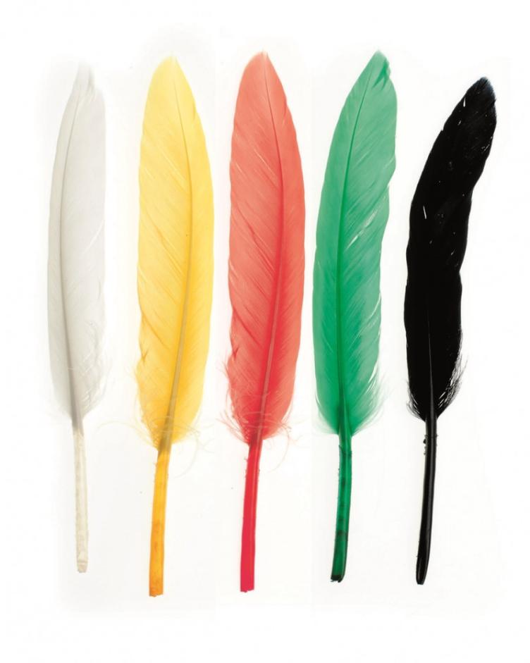 Indianerfeder 13cm ca.15St Bunt