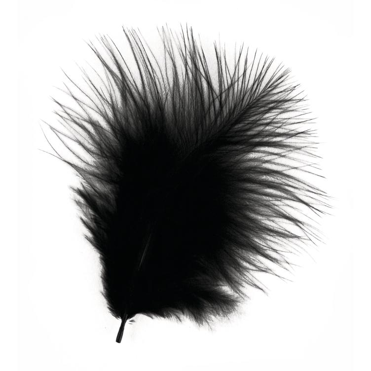 Deko-Feder, schwarz, 10Stück, 8cm, SB-Btl