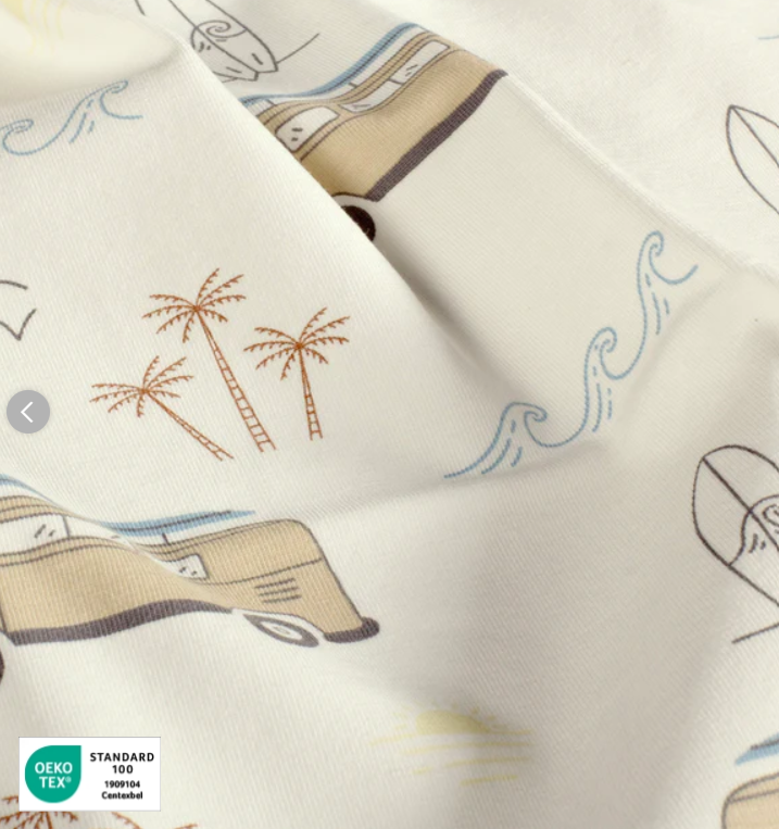 Stoff Jersey Surfing Bus ecru