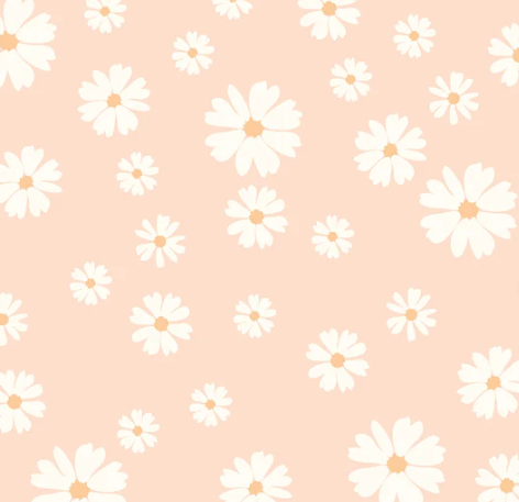 Stoff Baumwolle Margeriten lachs