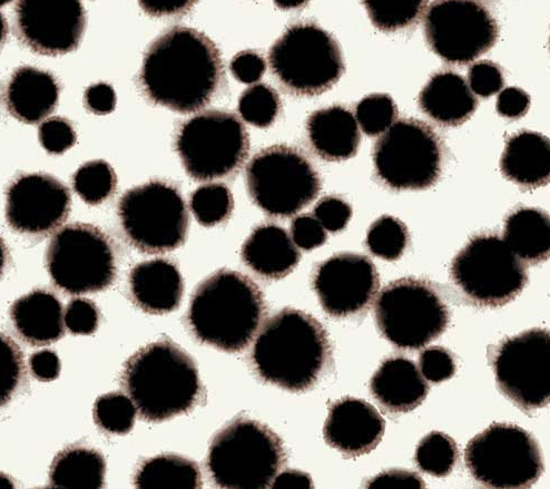Stoff Jersey Animalprint schwarz/weiss
