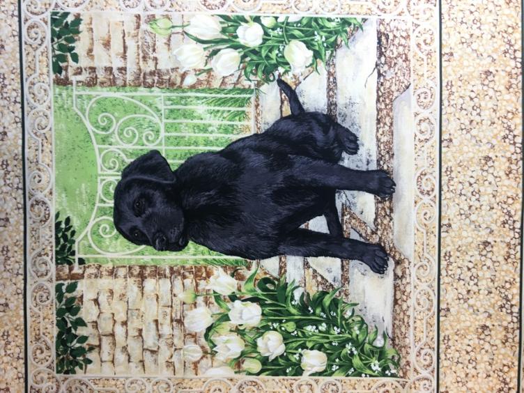 Stoff Baumwolle Panel, Labrador
