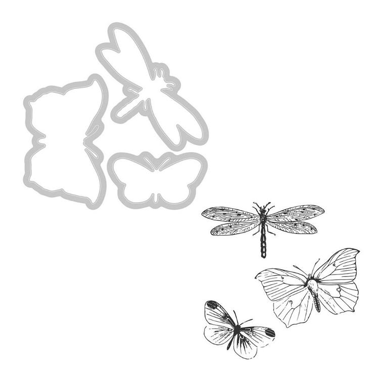 Sizzix framelits x3 + stamps x3 engraved wings - 2